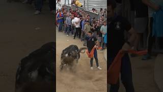 QUIEBRO MUY AJUSTADO AL TORO DE ORDÓÑEZ EN TORRES DE LA ALAMEDA toros shorts [upl. by Ecidnak]