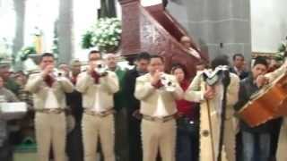 Mariachi Nuevo Tecalitlan Cordero de Dios [upl. by Neelra]