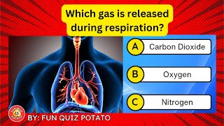 Test Your General Knowledge in 963 seconds  Q2 😁😂😍 50 Question quiz quiz  Fun Quiz Potato [upl. by Dael]