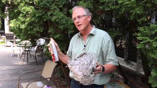 How to remove a wasp nest with insecticidal spray [upl. by Relluf919]