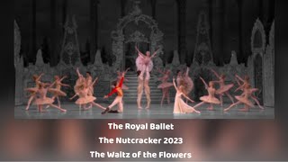 The Royal Ballet  The Nutcracker 2023  Waltz of the Flowers [upl. by Esmeralda]