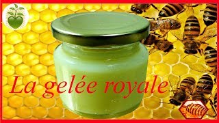 La gelée royale super aliment biologique [upl. by Biebel34]