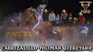 JARIPEO EN CARRIZALILLO TOLIMAN QUERETARO 3 FEBRERO 2024 [upl. by Barvick]