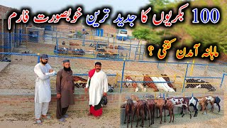 OutClass Modern Goat Farming Setup In Faislabad  Modern Goat Farming In Pakistan [upl. by Launce]