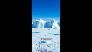 Unveiling Antarcticas Hidden Secrets shorts facts curiousfacts nature [upl. by Ringo]