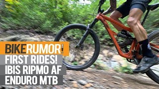 Ibis Ripmo AF  First Ride Review [upl. by Salim201]