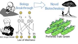 What is Biotechnology [upl. by Gaskins78]