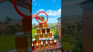 How Honey Is Made At Home🍯 shorts honey diy trending shortsfeed [upl. by Noseyt]