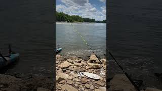 Fishing McAlpine Dam  7624 fishing fishingadventures ohioriver ohioriverpirates [upl. by Mara]