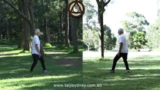 Larry Friedberg Taijisydney Exercise 5  Song Gong 5 [upl. by Ditmore]