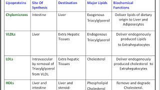 LipoproteinApolipoprotein chylomicronVLDLLDLHDLatherosclerosis [upl. by Ynor]