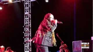 Queen Ifrica amp Wayne J Live  Rebel Salute 2013  Jamaica [upl. by Boorer]