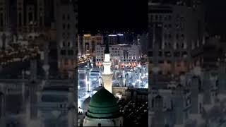 Omra Visa available ☝️🕋islamicholycities foryou viralvideo travel Makkah MADINA 🕌 [upl. by Effy]