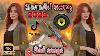 TikTok Saraiki viral song  sad song  saraiki song 🎧 Slow amp Reverb  2025 TP Protection as [upl. by Son671]