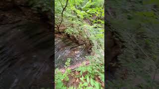 Starved Rock State Park outdoors canyon waterfall [upl. by Imuy]