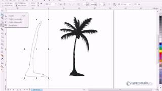 Corel DRAW X4 Tutorial Wektorowa palma [upl. by Joye]