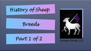 History of Sheep Breeds Part 1 of 2 [upl. by Ardnekan]