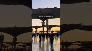 Medina Saudi Arabia 🇸🇦 [upl. by Auhsohey]