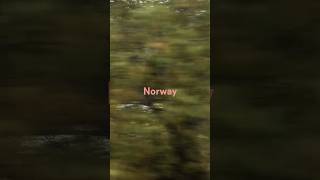 Norway From Trondheim to Hamar [upl. by Anaiad126]