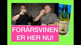 109 VIOGNIER HVIDVIN  CALEUCHE  FORFØRENDE CHILENSKE LÆKKERIER [upl. by Enyaj]