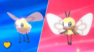 HOW TO Evolve Cutiefly into Ribombee in Pokémon Sword and Shield [upl. by Trill]