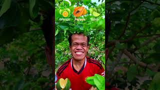 Round fruit on tree youtubeshorts fruit mukbang [upl. by Zuliram]