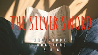 The Silver Sword Chapters 5 and 6 [upl. by Eltsyrhc]