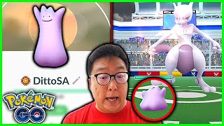 What Happens If We Use a Max Level Ditto Against Mewtwo in Pokemon GO [upl. by Dittman92]