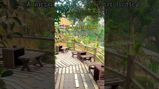 Backyard Retreat EcoResort Sreemangal  An amazing place to unwind shorts travel bangladesh [upl. by Annayad]