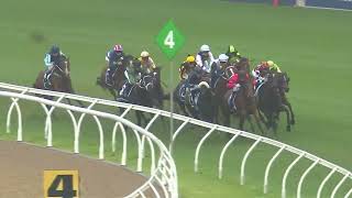 Rosehill Gold Cup 2024  FAWKNER PARK 3YO Qlty G3 Group 3 Rosehill 2 November [upl. by Yereffej]