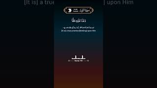 Surah Tawbah verse 111 [upl. by Reffotsirhc650]