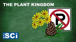 The Plant Kingdom [upl. by Eelymmij919]