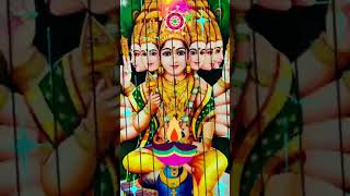 shortsvideo sami sami om muruga kumara senthura potri🦚🦚🦚🦚 [upl. by Nyer539]