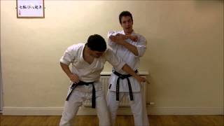 Kata Bunkai Video Tutorial 02  Pinan Heian Godan Kata [upl. by Rosenblatt909]