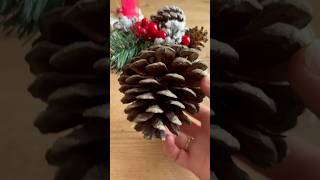 Quick Pinecone Decoration craftfairies [upl. by Nodnal]