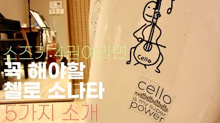 스즈키 4권이상 공부가 많이 되는 첼로 소나타 5개 추천  Romberg cello sonata  Vandini cello sonata [upl. by Ginsberg]