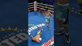 BRUTAL KO BY ANGELO LEO AGAINST quotEL VENADOquot LÓPEZ 😨 boxing knockout [upl. by Edwyna]