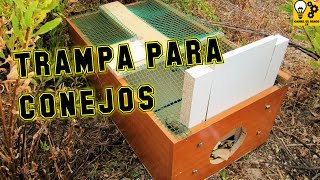 Trampa para conejos   Rabbit trap [upl. by Fry]