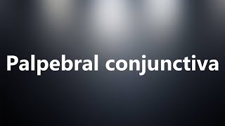 Palpebral conjunctiva  Medical Definition and Pronunciation [upl. by Viki]