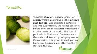 Health Benefits of Tomatillo [upl. by Reace648]