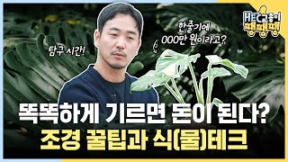 HEC교종 첫 탐구 시간 괴물 번식력 몬스테라로 알아보는 조경 법과 식테크 이야기ㅣHEC교종이 땡땡땡 14화 [upl. by Casie]