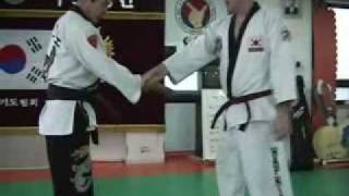 Hapkido Techniques [upl. by Je]