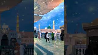 O madina jo mere nabi ka ghar hai new trending naat [upl. by Elberta288]