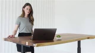 The Alive desk  suar  ergonofis [upl. by Adnorahs]