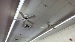 SMC DC52 Ceiling Fans installed improperly [upl. by Yedorb7]