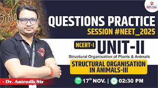 LIVE NEET 2025  BIOLOGY QUESTION PRACTICE SESSION  STRUCTURAL ORGANISATION IN ANIMALS neet2025 [upl. by Elam]