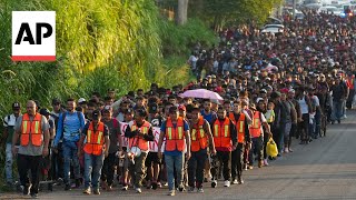 About 2500 migrants have started walking towards USMexico border [upl. by Riehl823]