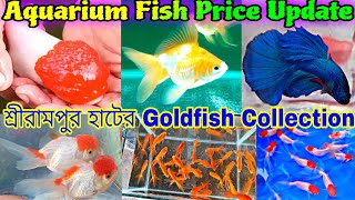 Aquarium Fish Price Update  Aquarium Color Fish Price  Serampore Aquarium Fish Market [upl. by Adnanref35]