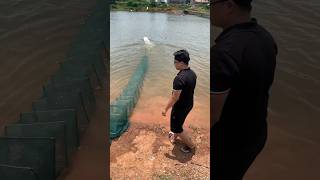 Radiocontrolled boat laying gill nets to catch fish shrimp and crabs [upl. by Hecker420]