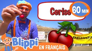 Blippi visite une exploitation de cerises  Blippi en français  Vidéos éducatives pour enfants [upl. by Naicad724]